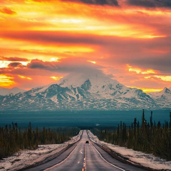 Mens - Picture 6 of 7